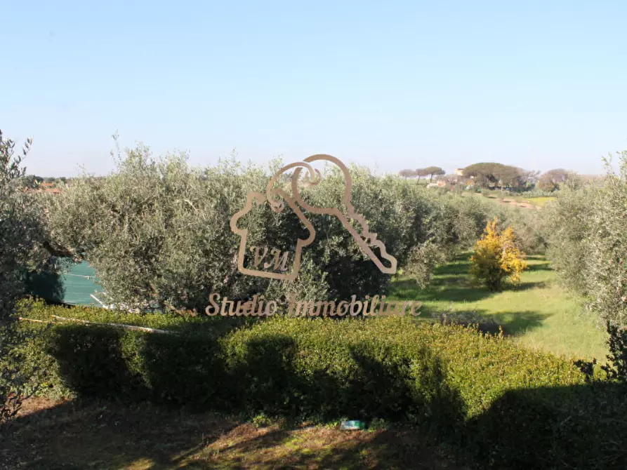 Immagine 21 di Villa in vendita  in Via Pian di Frasso a Ardea