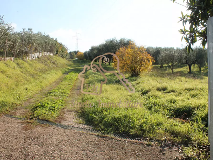 Immagine 29 di Villa in vendita  in Via Pian di Frasso a Ardea