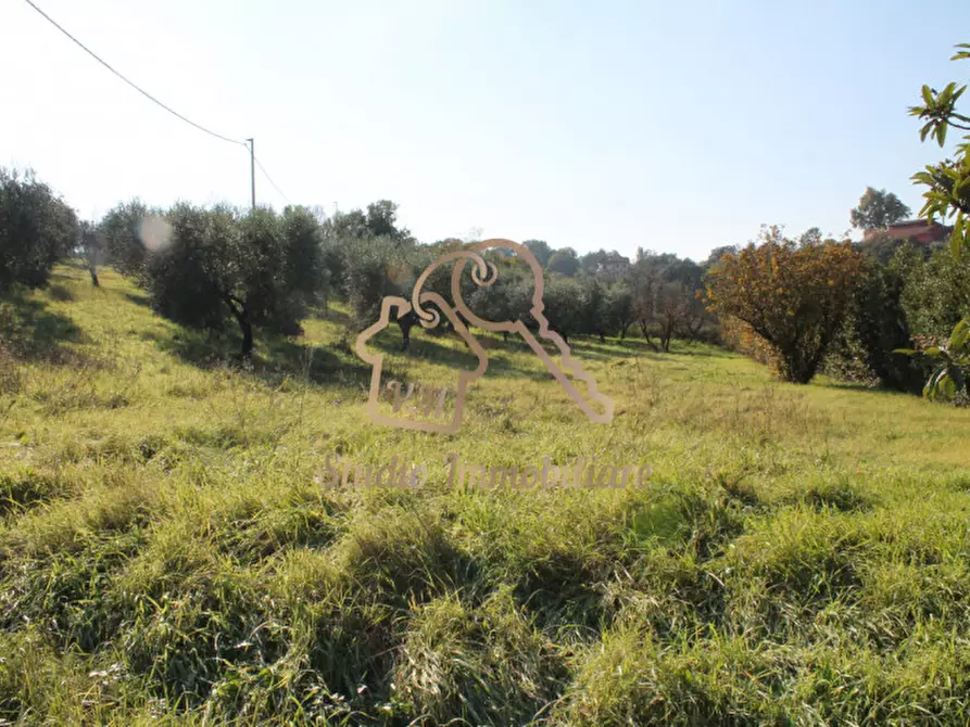 Immagine 30 di Villa in vendita  in Via Pian di Frasso a Ardea