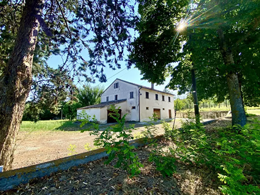 Immagine 2 di Rustico / casale in vendita  a Corinaldo