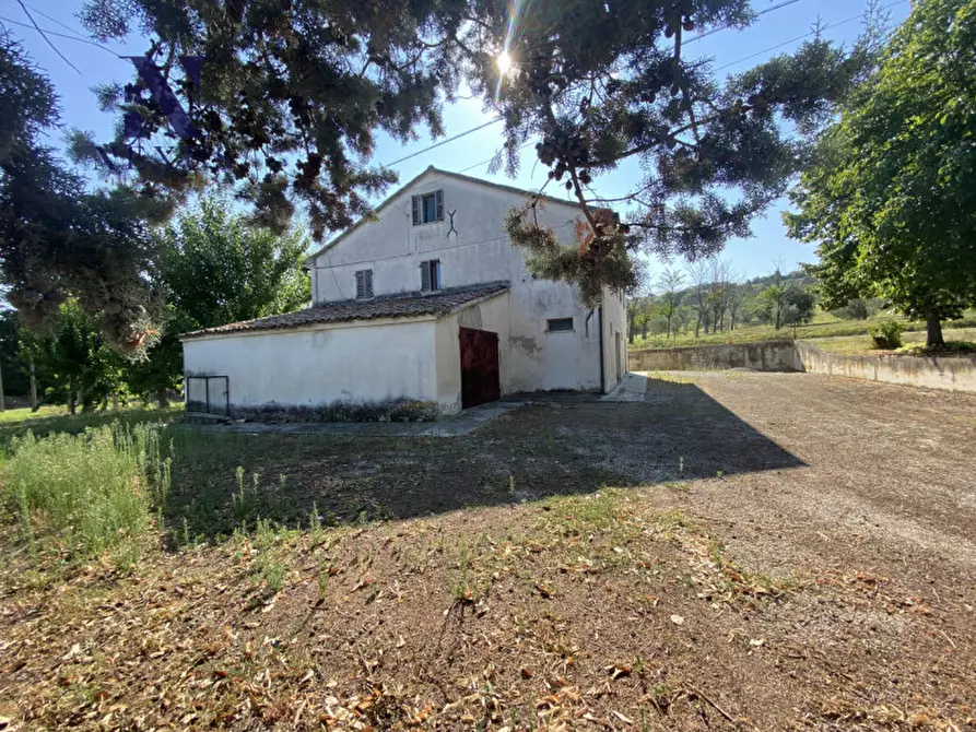 Immagine 3 di Rustico / casale in vendita  a Corinaldo