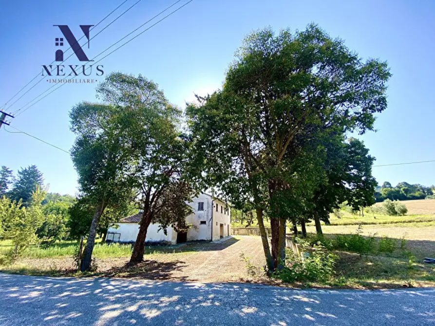 Immagine 3 di Rustico / casale in vendita  a Corinaldo