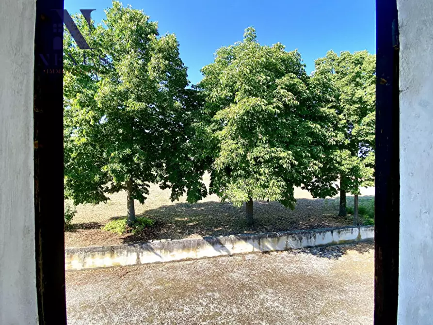 Immagine 8 di Rustico / casale in vendita  a Corinaldo