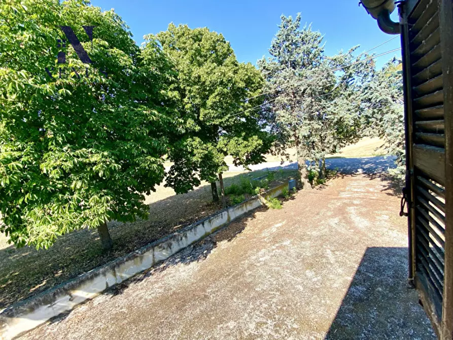 Immagine 9 di Rustico / casale in vendita  a Corinaldo