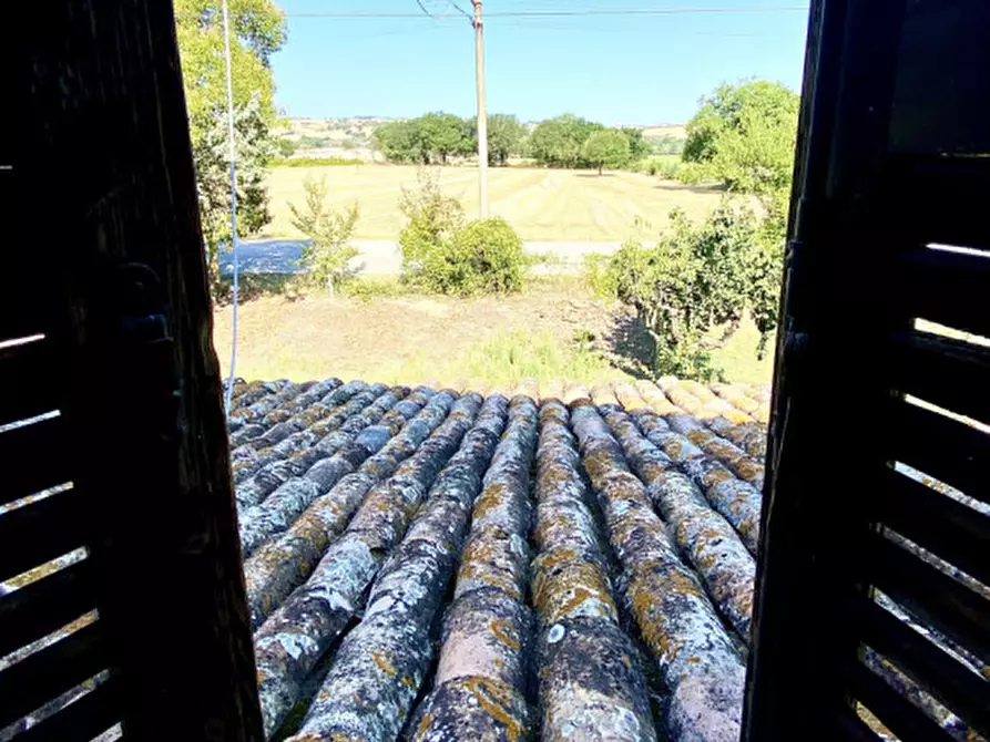 Immagine 17 di Rustico / casale in vendita  a Corinaldo