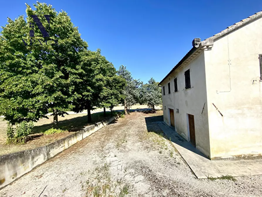 Immagine 25 di Rustico / casale in vendita  a Corinaldo