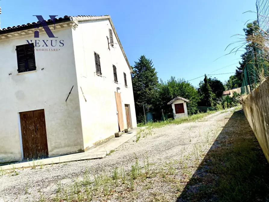 Immagine 26 di Rustico / casale in vendita  a Corinaldo