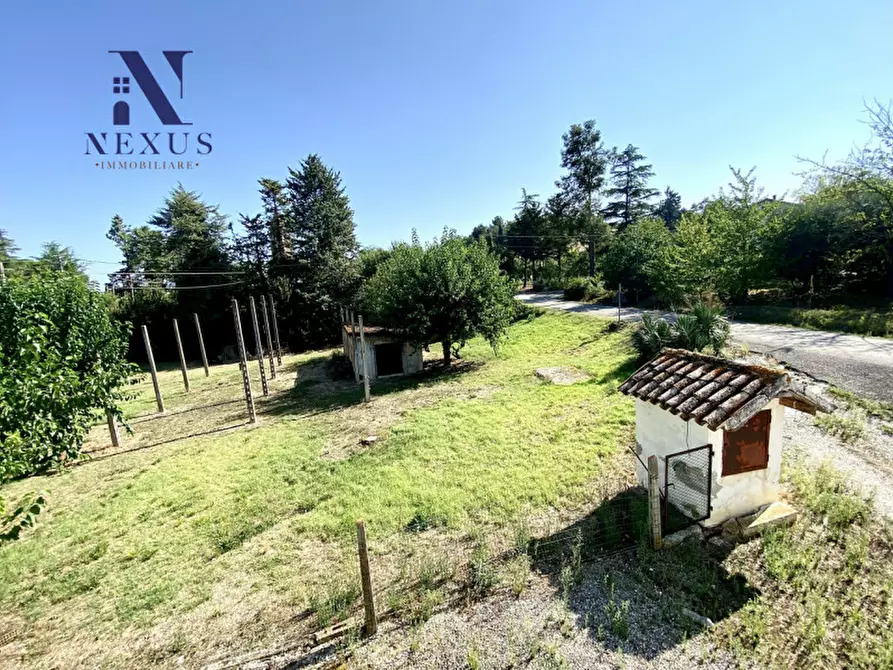 Immagine 27 di Rustico / casale in vendita  a Corinaldo