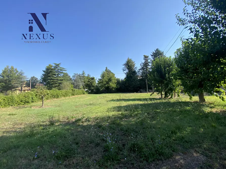 Immagine 28 di Rustico / casale in vendita  a Corinaldo