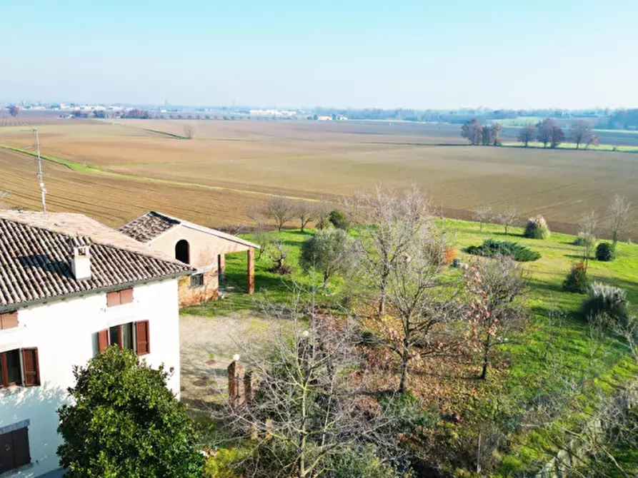 Immagine 2 di Casa indipendente in vendita  a Alseno