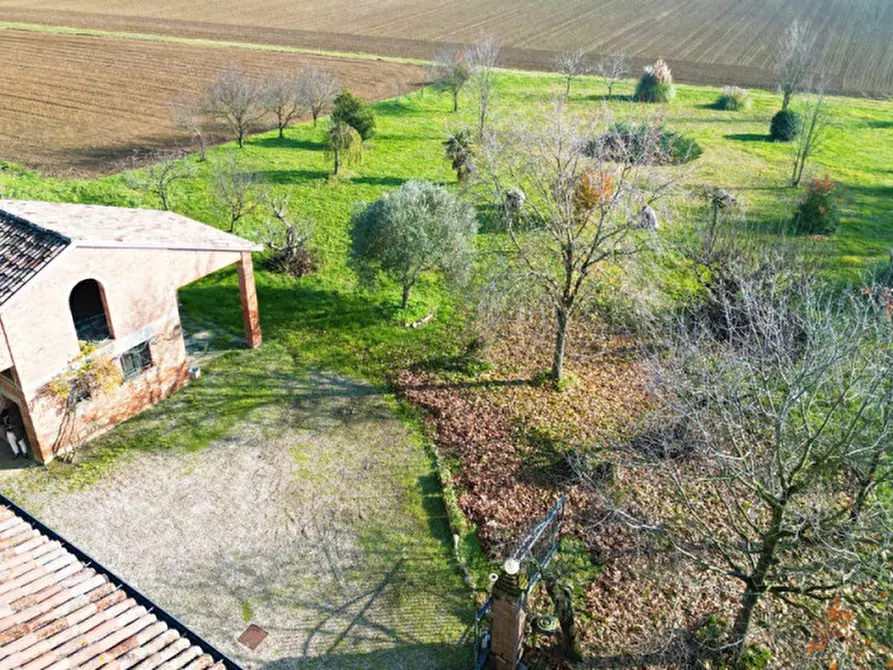 Immagine 6 di Casa indipendente in vendita  a Alseno