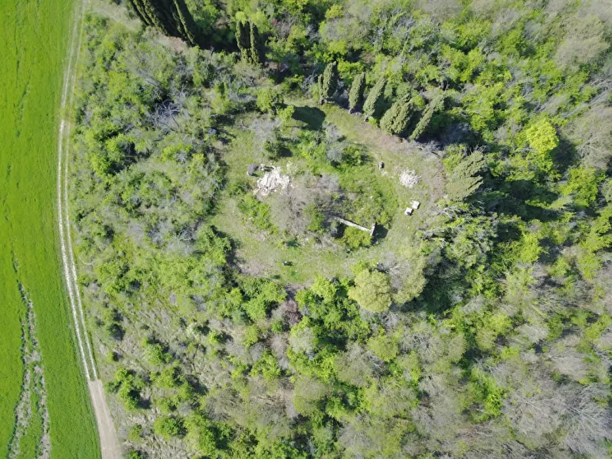 Immagine 3 di Rustico / casale in vendita  in pieve del pino a Sasso Marconi