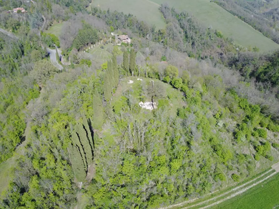 Immagine 4 di Rustico / casale in vendita  in pieve del pino a Sasso Marconi