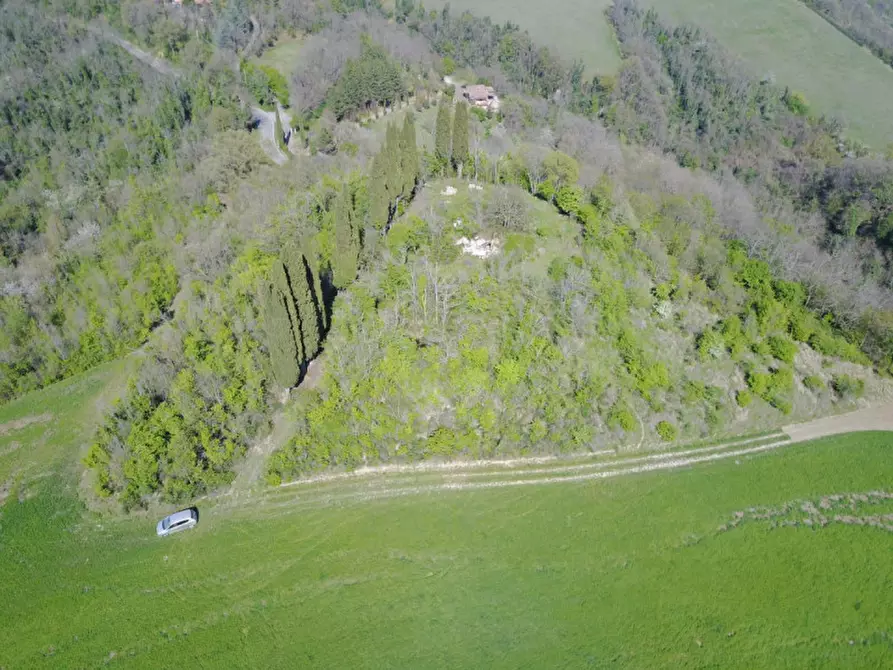 Immagine 5 di Rustico / casale in vendita  in pieve del pino a Sasso Marconi