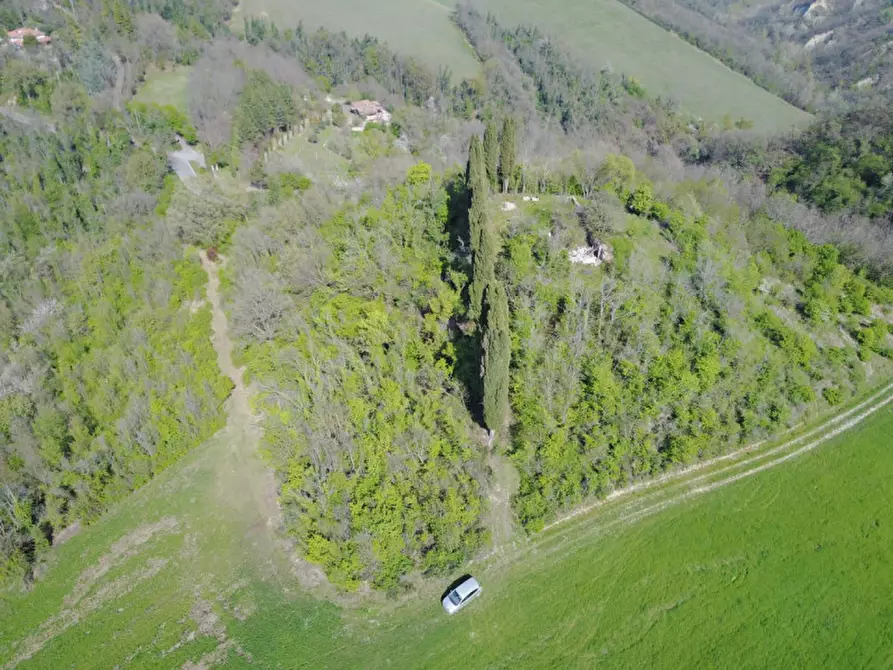 Immagine 7 di Rustico / casale in vendita  in pieve del pino a Sasso Marconi