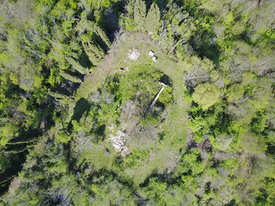 Immagine 7 di Rustico / casale in vendita  in pieve del pino a Sasso Marconi