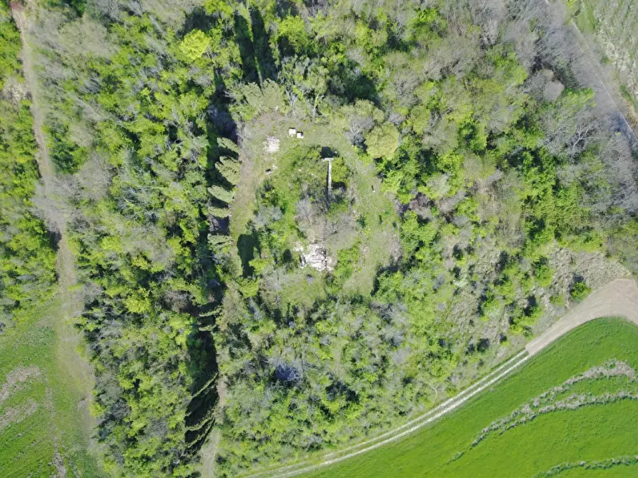 Immagine 9 di Rustico / casale in vendita  in pieve del pino a Sasso Marconi