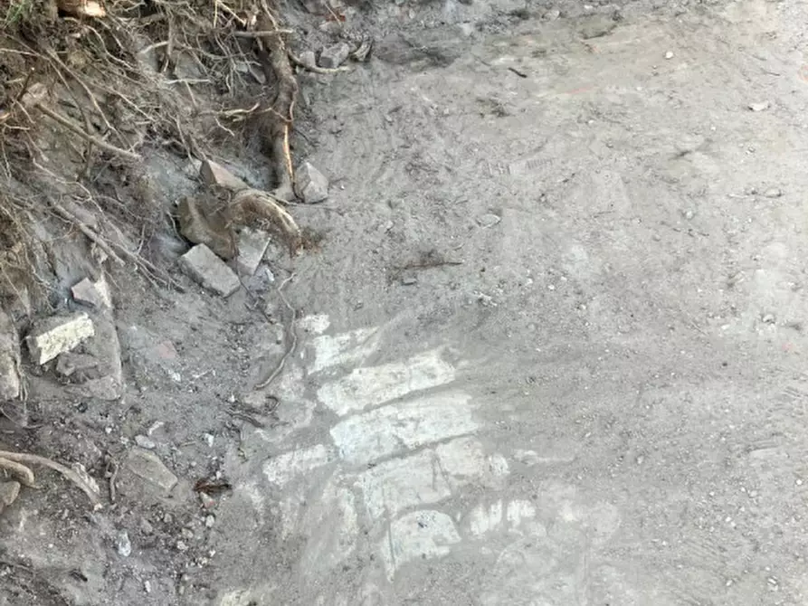 Immagine 21 di Rustico / casale in vendita  in pieve del pino a Sasso Marconi