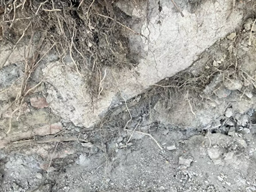 Immagine 22 di Rustico / casale in vendita  in pieve del pino a Sasso Marconi