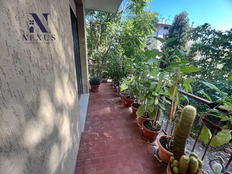 Immagine 3 di Appartamento in vendita  a Mondavio