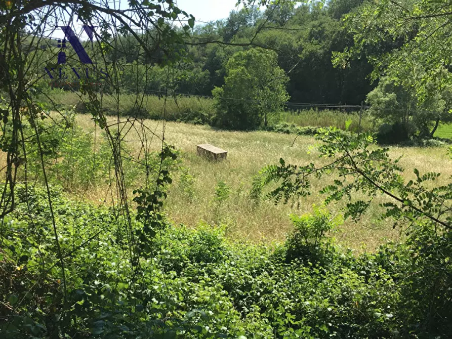 Immagine 5 di Terreno in vendita  a San Costanzo