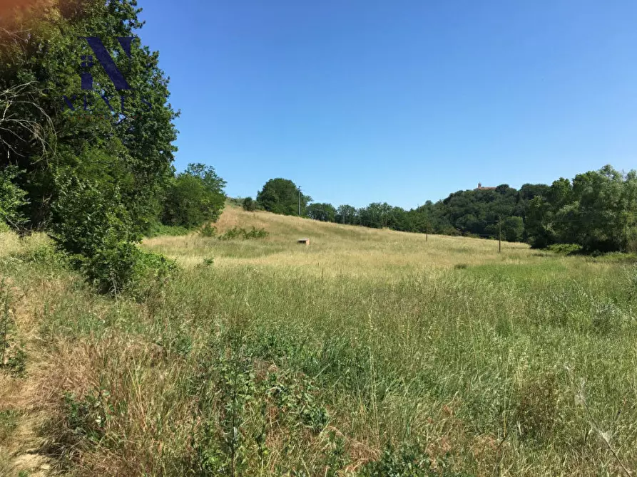 Immagine 6 di Terreno in vendita  a San Costanzo