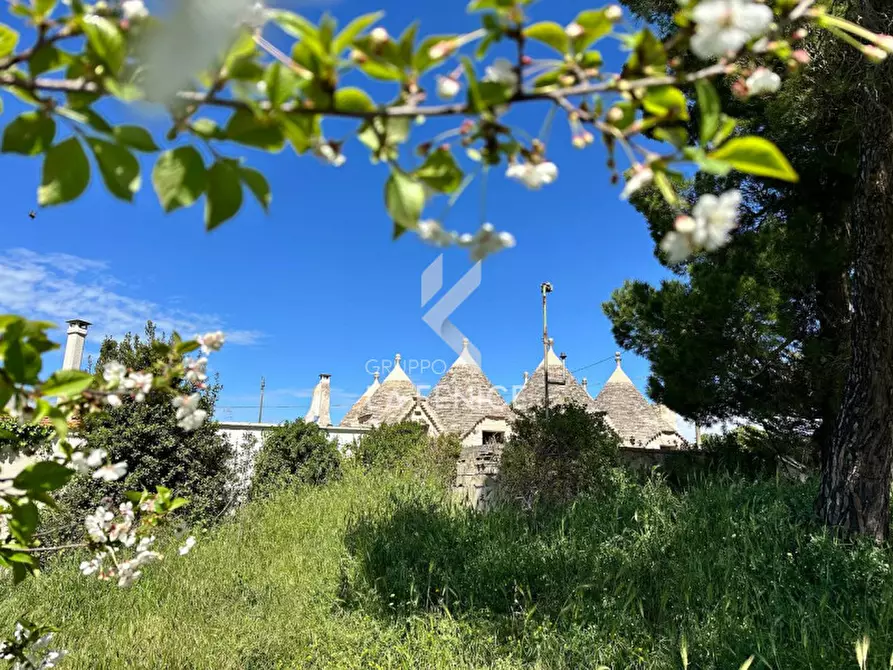 Immagine 7 di Rustico / casale in vendita  in via ostuni a Martina Franca