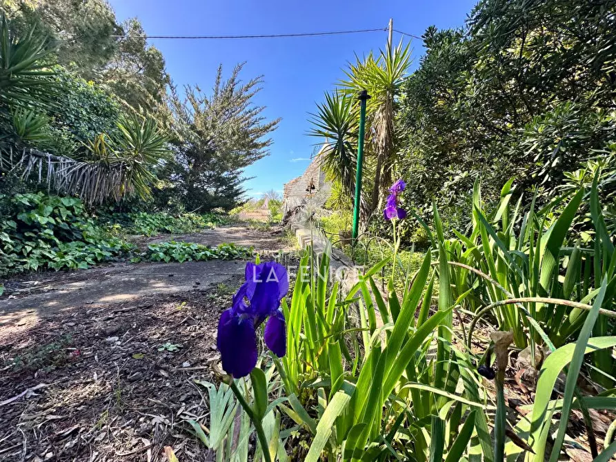 Immagine 11 di Rustico / casale in vendita  in via ostuni a Martina Franca