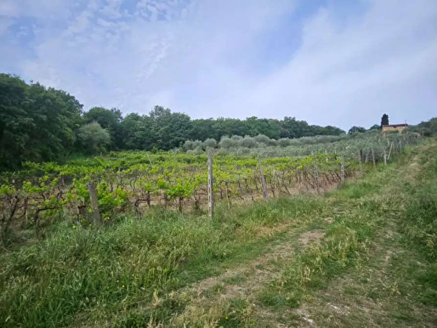 Immagine 3 di Rustico / casale in vendita  a Sinalunga