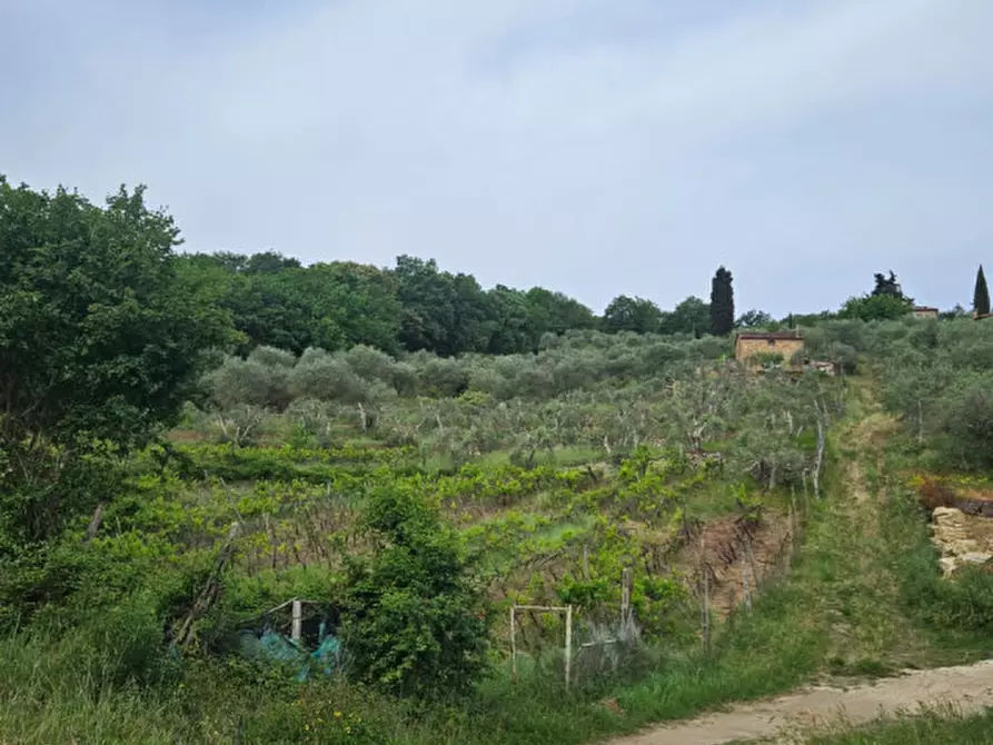 Immagine 4 di Rustico / casale in vendita  a Sinalunga