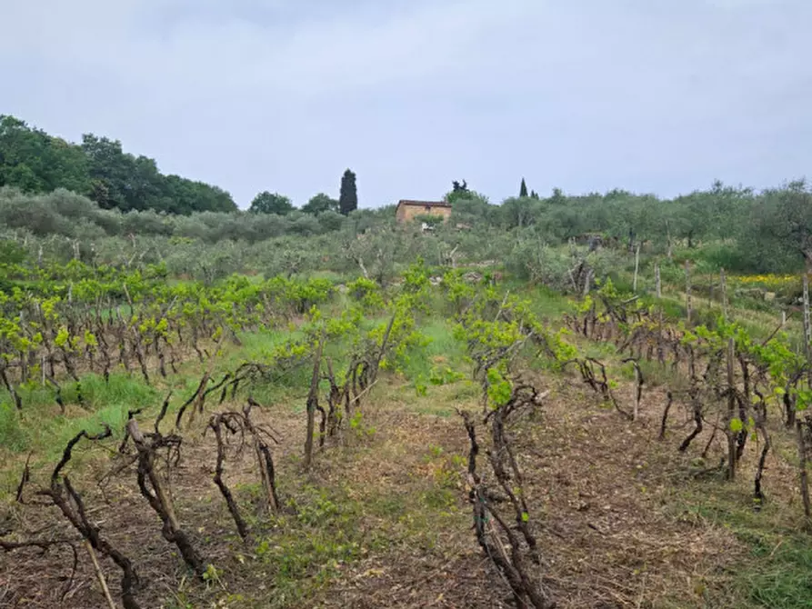 Immagine 5 di Rustico / casale in vendita  a Sinalunga