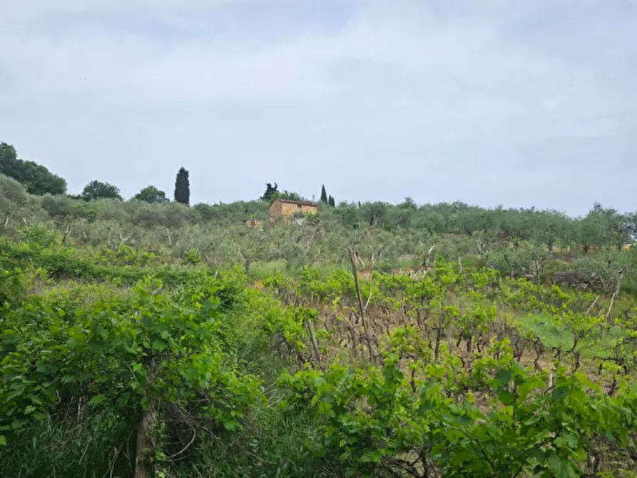 Immagine 6 di Rustico / casale in vendita  a Sinalunga