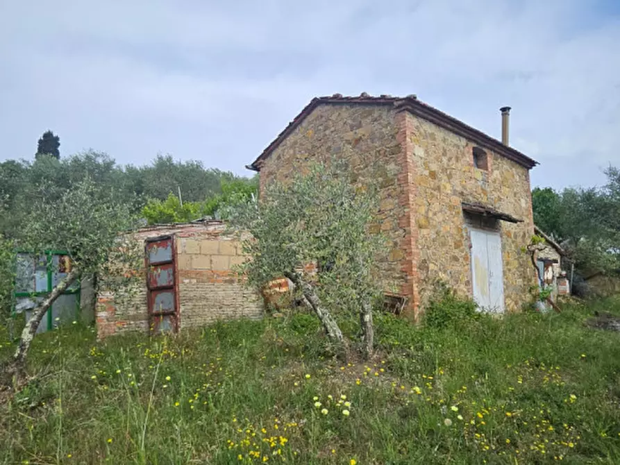 Immagine 8 di Rustico / casale in vendita  a Sinalunga