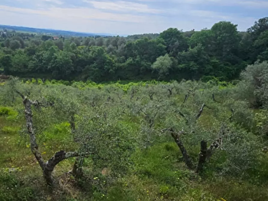Immagine 9 di Rustico / casale in vendita  a Sinalunga