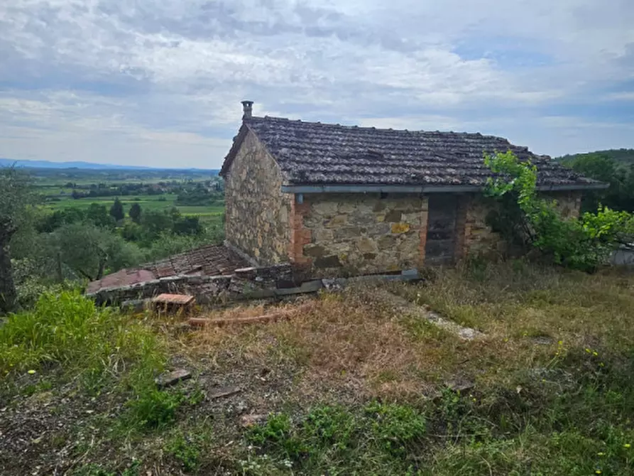 Immagine 10 di Rustico / casale in vendita  a Sinalunga