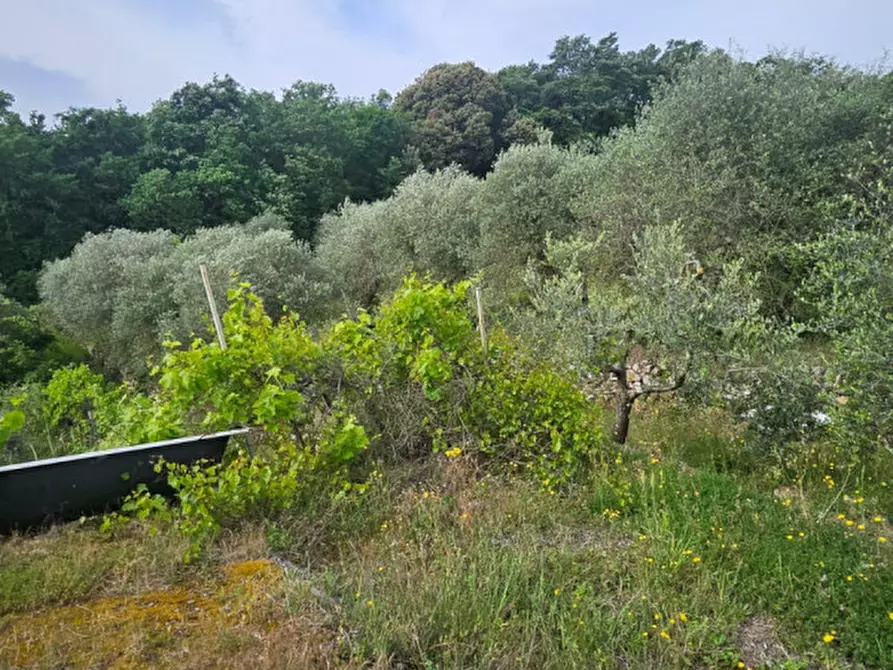 Immagine 11 di Rustico / casale in vendita  a Sinalunga