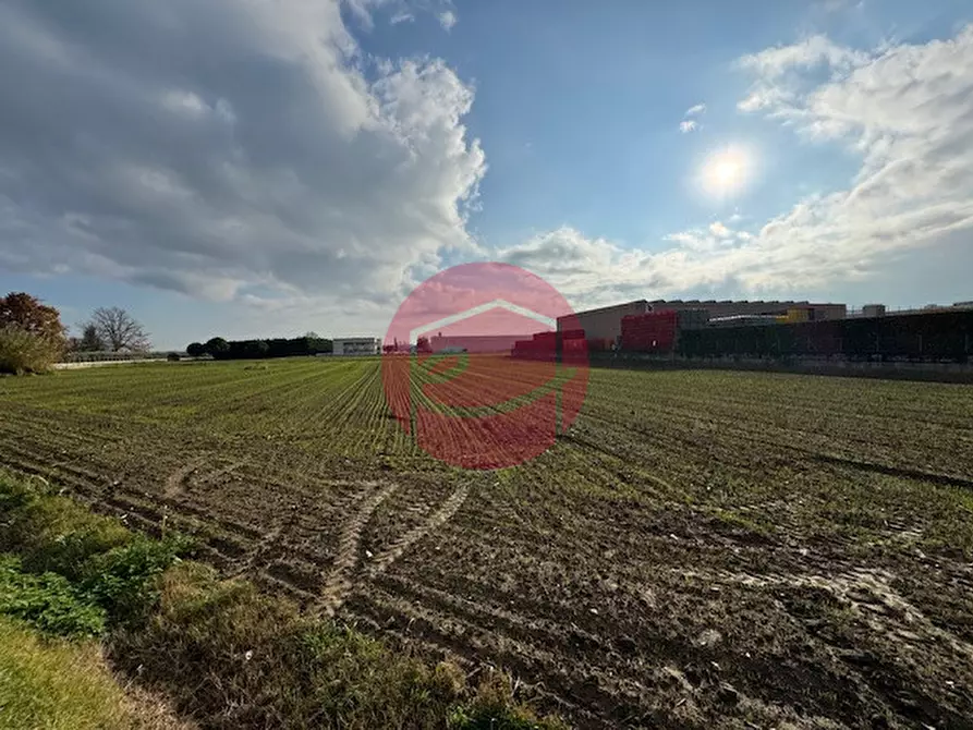 Immagine 4 di Terreno in vendita  a Gatteo