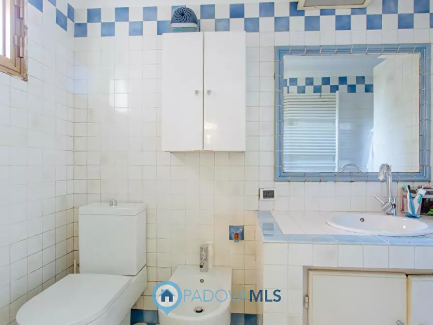 Immagine 27 di Casa indipendente in vendita  in Via Broglio a Solesino