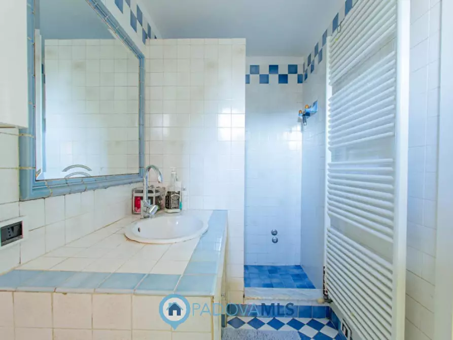 Immagine 28 di Casa indipendente in vendita  in Via Broglio a Solesino