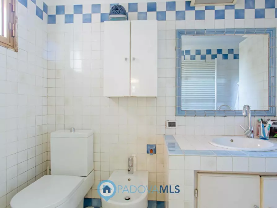 Immagine 30 di Casa indipendente in vendita  in Via Broglio a Solesino