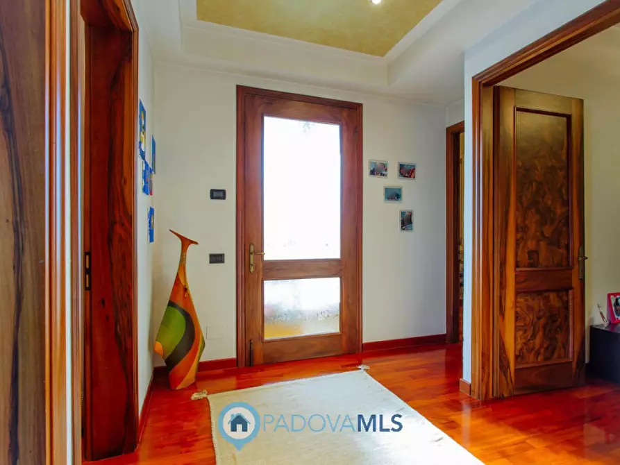 Immagine 37 di Casa indipendente in vendita  in Via Broglio a Solesino