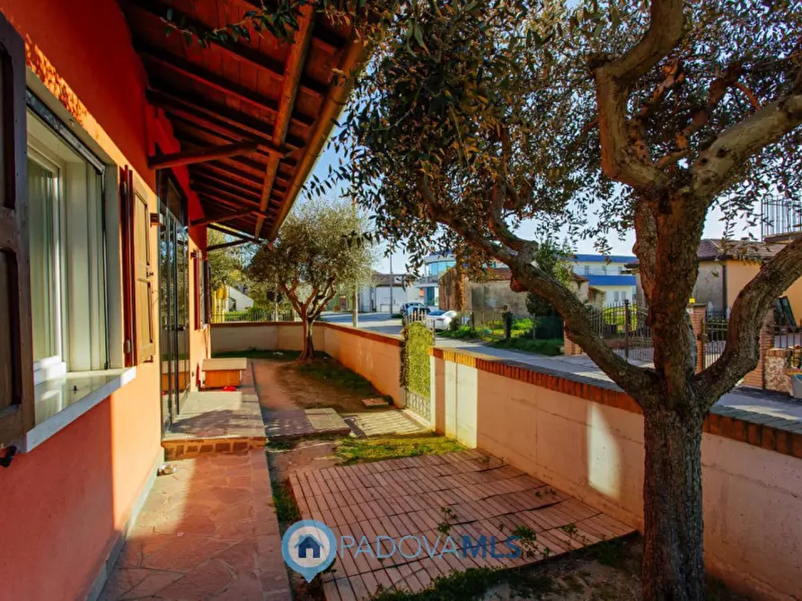 Immagine 54 di Casa indipendente in vendita  in Via Broglio a Solesino