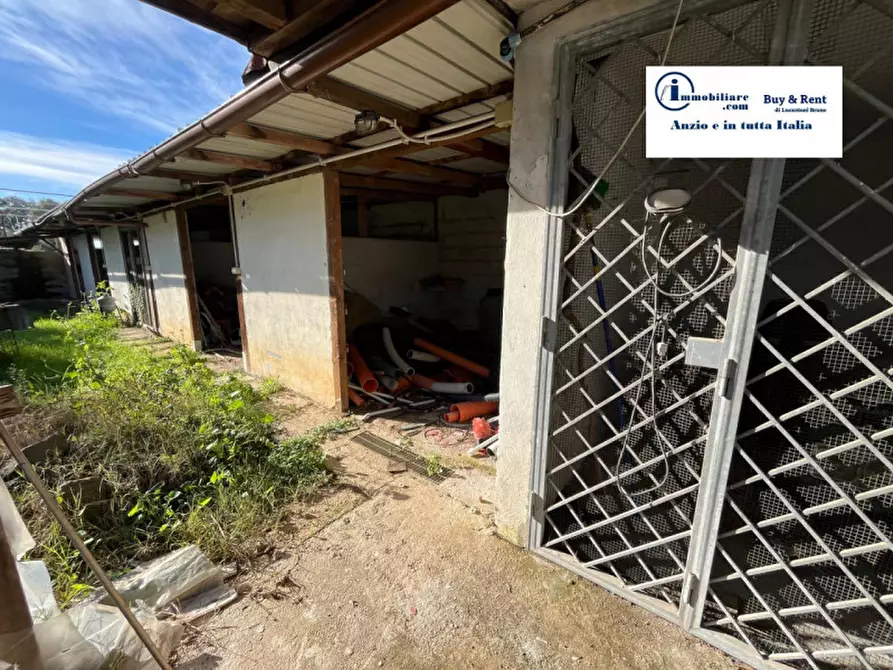 Immagine 5 di Villa in vendita  in via Lago di Fogliano a Nettuno