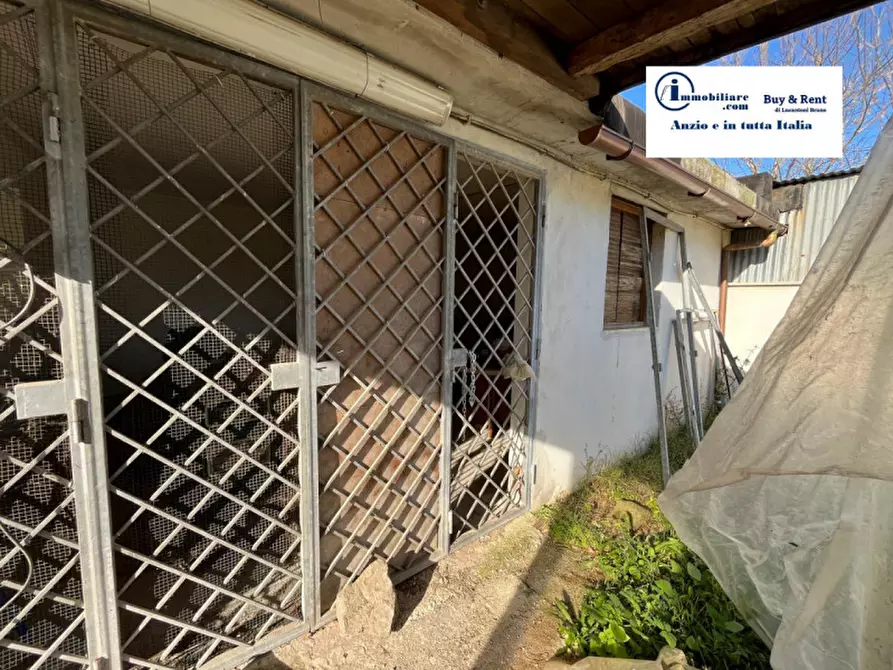Immagine 6 di Villa in vendita  in via Lago di Fogliano a Nettuno