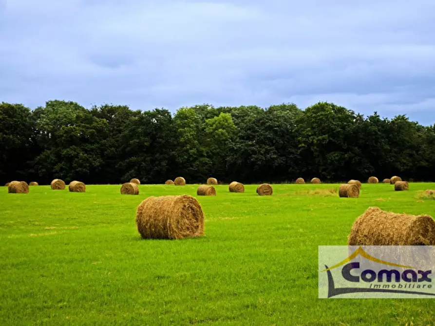 Immagine 3 di Terreno in vendita  in Via Pelosa a Selvazzano Dentro
