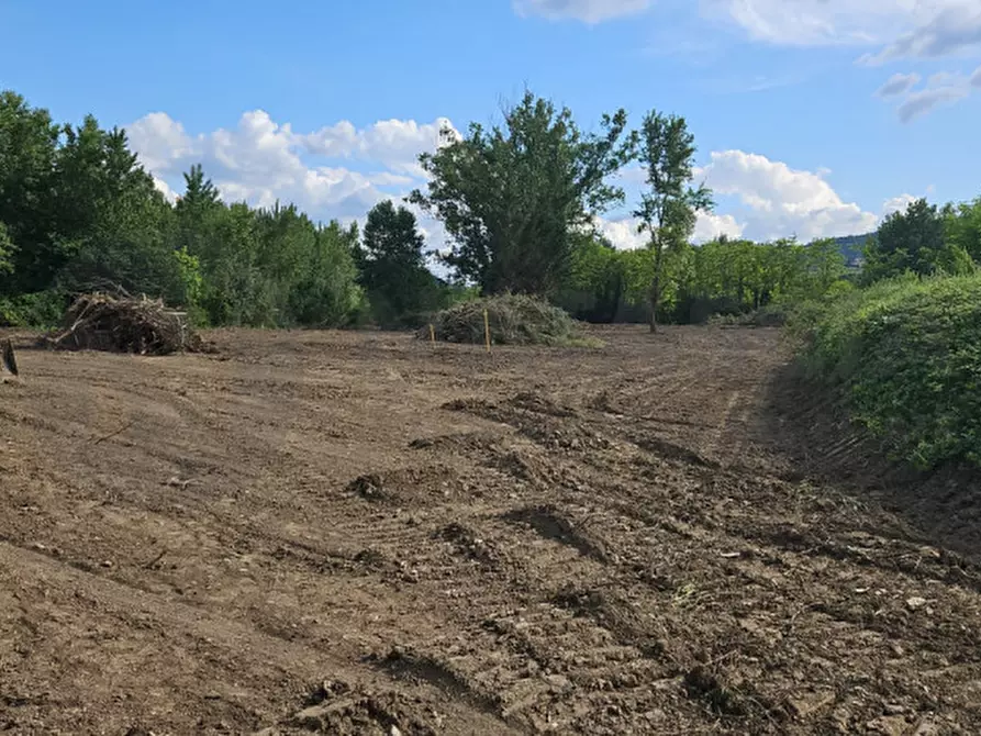 Immagine 2 di Terreno in vendita  in VIA COLOGNOLESE a Pontassieve
