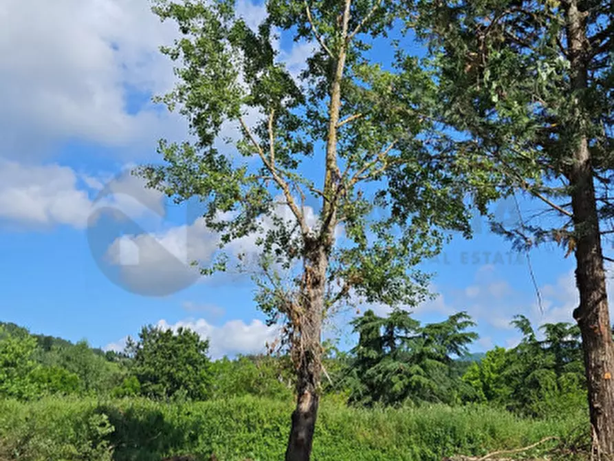 Immagine 3 di Terreno in vendita  in VIA COLOGNOLESE a Pontassieve