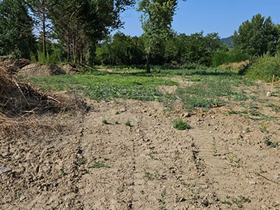 Immagine 4 di Terreno in vendita  in VIA COLOGNOLESE a Pontassieve