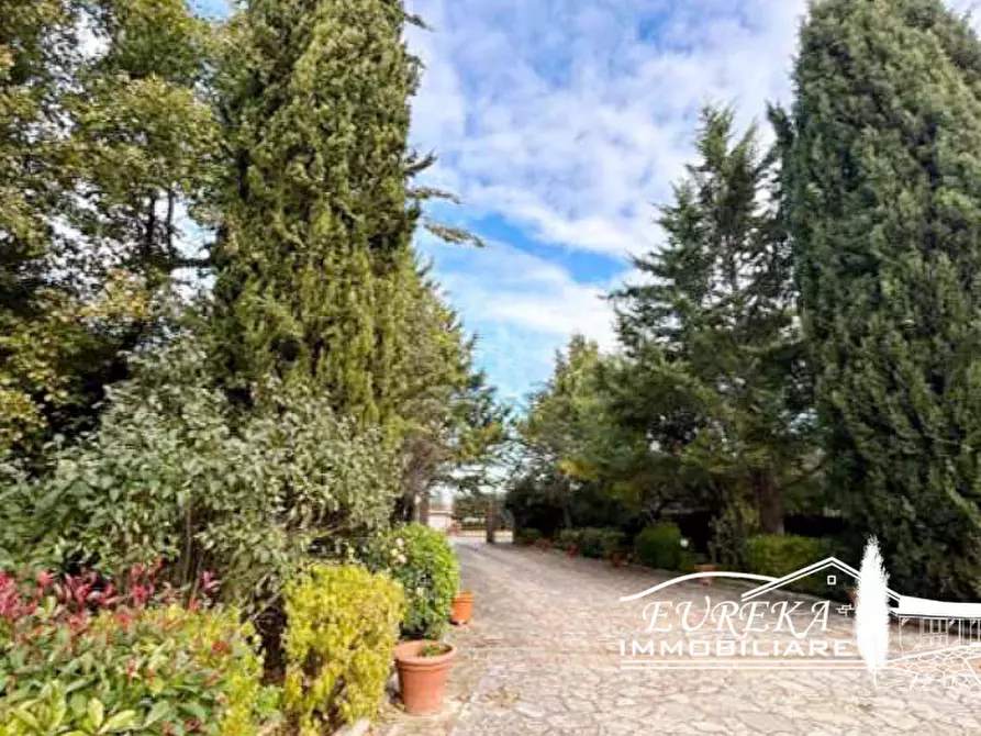 Immagine 24 di Villa in vendita  in cASAMAGGIORE a Castiglione Del Lago