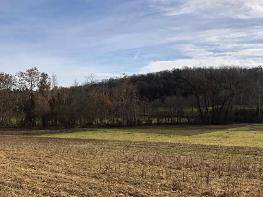 Immagine 2 di Terreno in vendita  a Gavardo